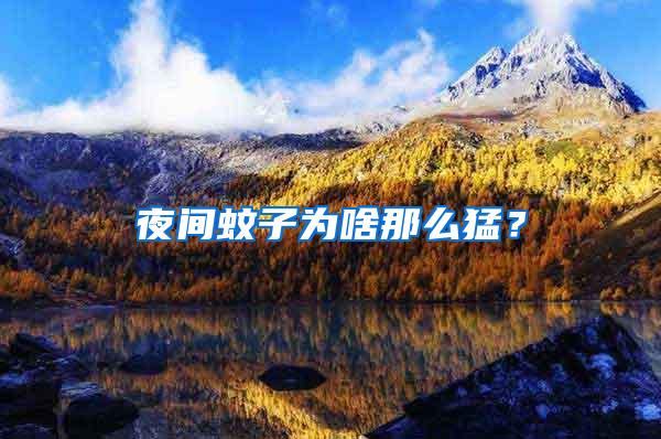 夜間蚊子為啥那么猛？