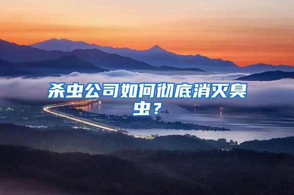 殺蟲公司如何徹底消滅臭蟲？