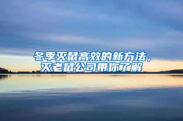 冬季滅鼠高效的新方法，滅老鼠公司帶你了解
