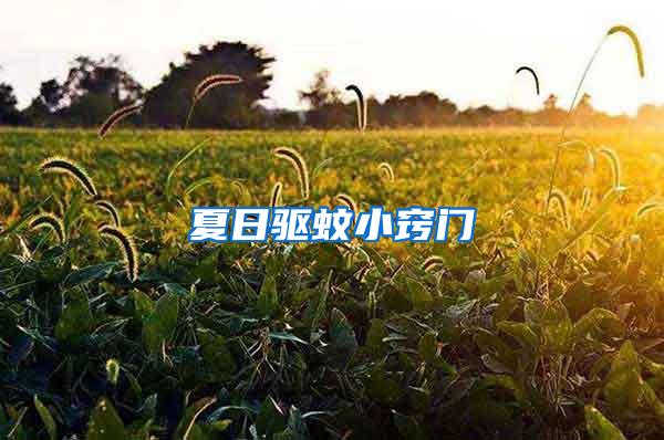 夏日驅(qū)蚊小竅門