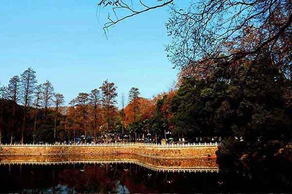 深圳專業(yè)殺臭蟲(chóng)公司解析臭蟲(chóng)的危害和生命周期