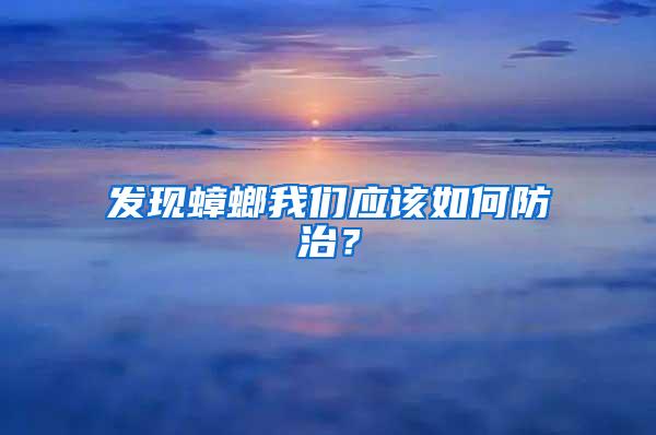 發(fā)現(xiàn)蟑螂我們應(yīng)該如何防治？