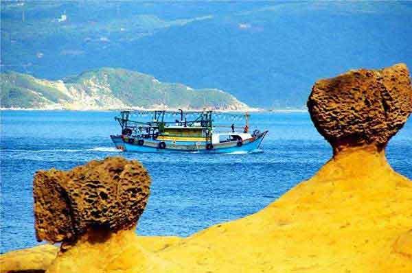 深圳專業(yè)滅臭蟲公司上門殺臭蟲服務(wù)多少錢，怎么收費的？