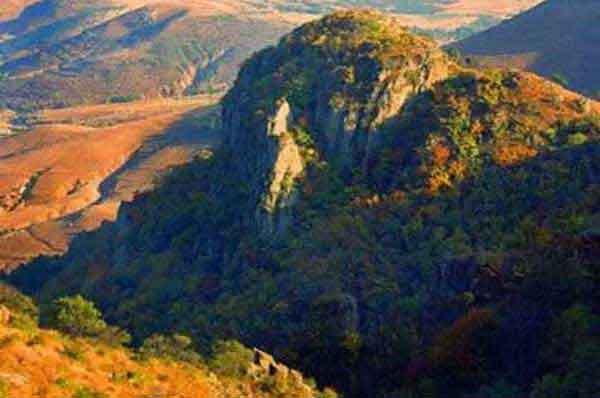 深圳專業(yè)殺臭蟲服務公司滅臭蟲的收費標準-宿舍殺臭蟲多少錢一間