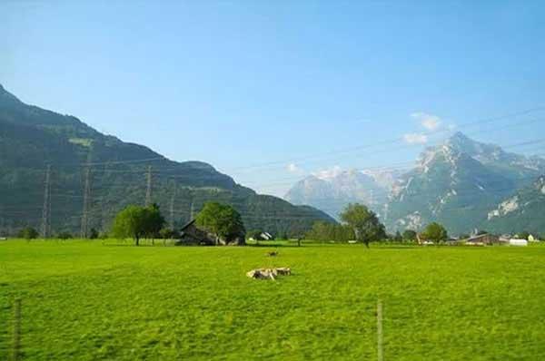 家里有蚊子怎么辦，提醒您防蚊切勿整夜熏蚊香