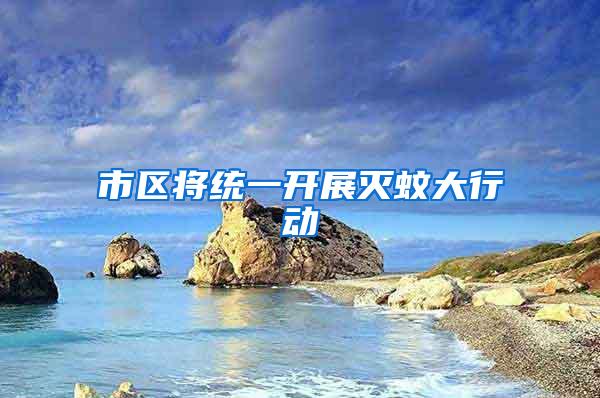 市區(qū)將統(tǒng)一開展滅蚊大行動(dòng)