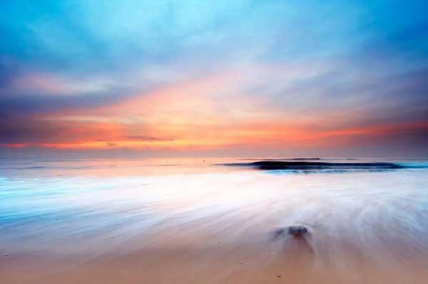 白蟻爆發(fā) 每天20戶居民家發(fā)現(xiàn)白蟻