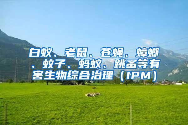 白蟻、老鼠、蒼蠅、蟑螂、蚊子、螞蟻、跳蚤等有害生物綜合治理（IPM）