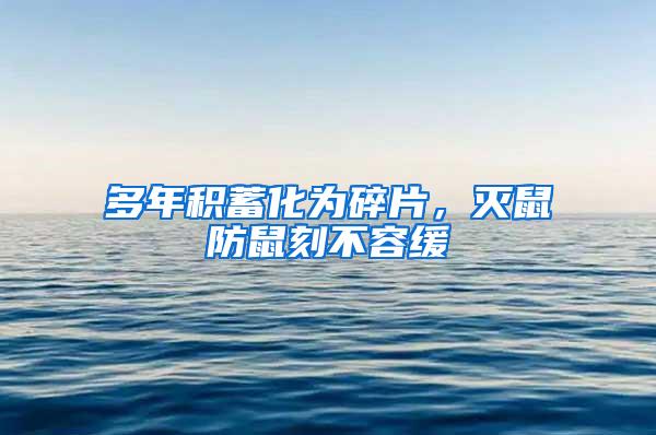 多年積蓄化為碎片，滅鼠防鼠刻不容緩