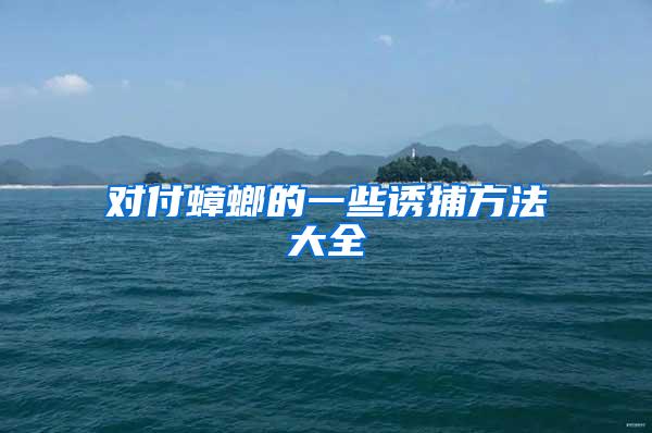 對付蟑螂的一些誘捕方法大全