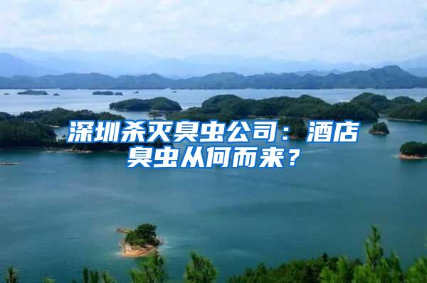 深圳殺滅臭蟲公司:酒店臭蟲從何而來?