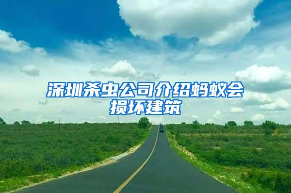 深圳殺蟲公司介紹螞蟻會損壞建筑