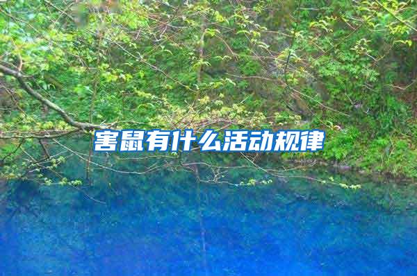 害鼠有什么活動規(guī)律