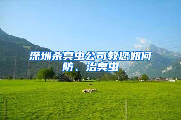 深圳殺臭蟲公司教您如何防、治臭蟲