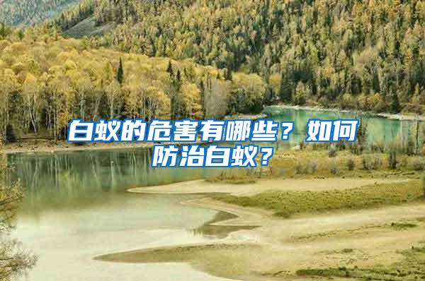 白蟻的危害有哪些？如何防治白蟻？