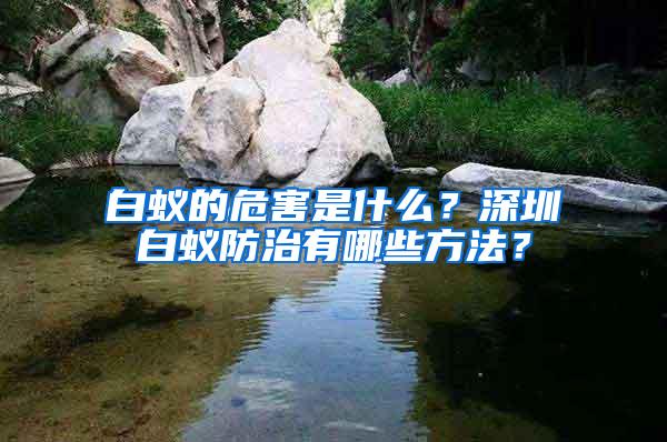 白蟻的危害是什么？深圳白蟻防治有哪些方法？