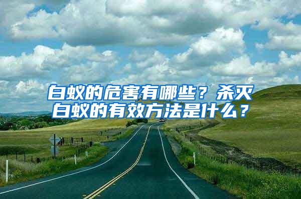 白蟻的危害有哪些？殺滅白蟻的有效方法是什么？