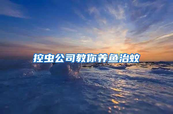 控蟲公司教你養(yǎng)魚治蚊