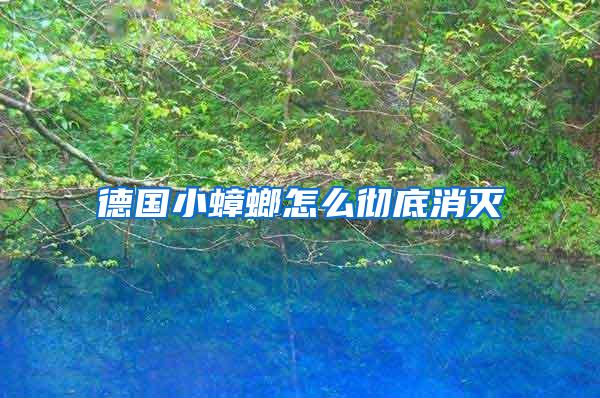 德國(guó)小蟑螂怎么徹底消滅