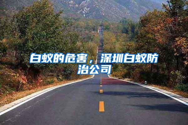 白蟻的危害，深圳白蟻防治公司