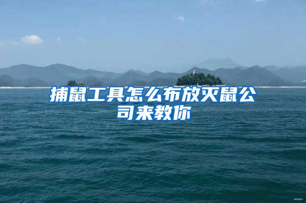 捕鼠工具怎么布放滅鼠公司來(lái)教你