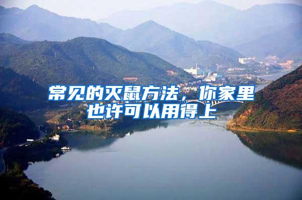 常見的滅鼠方法，你家里也許可以用得上