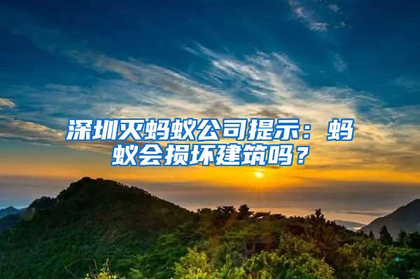 深圳滅螞蟻公司提示：螞蟻會(huì)損壞建筑嗎？