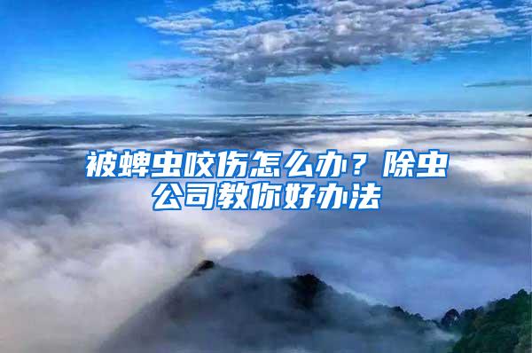 被蜱蟲咬傷怎么辦？除蟲公司教你好辦法
