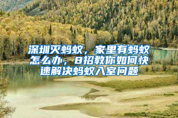 深圳滅螞蟻，家里有螞蟻怎么辦，8招教你如何快速解決螞蟻入室問題