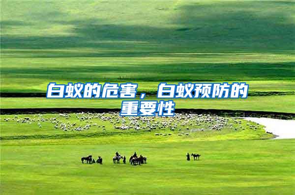 白蟻的危害，白蟻預(yù)防的重要性