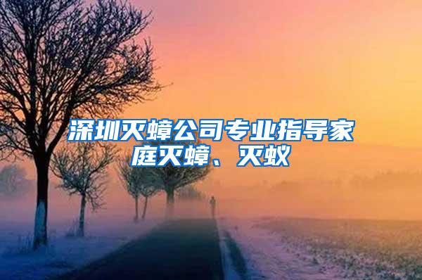 深圳滅蟑公司專業(yè)指導(dǎo)家庭滅蟑、滅蟻