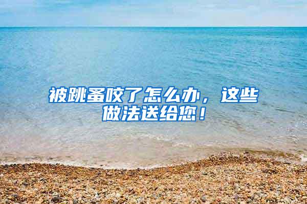 被跳蚤咬了怎么辦，這些做法送給您！