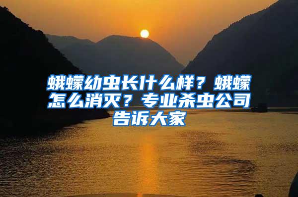 蛾蠓幼蟲長什么樣？蛾蠓怎么消滅？專業(yè)殺蟲公司告訴大家