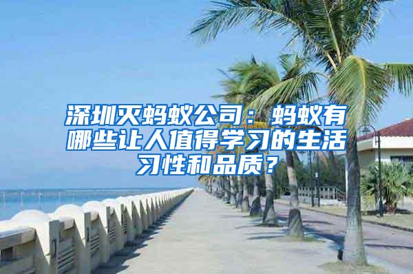深圳滅螞蟻公司：螞蟻有哪些讓人值得學(xué)習(xí)的生活習(xí)性和品質(zhì)？