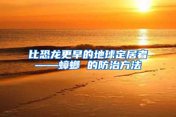 比恐龍更早的地球定居者——蟑螂 的防治方法