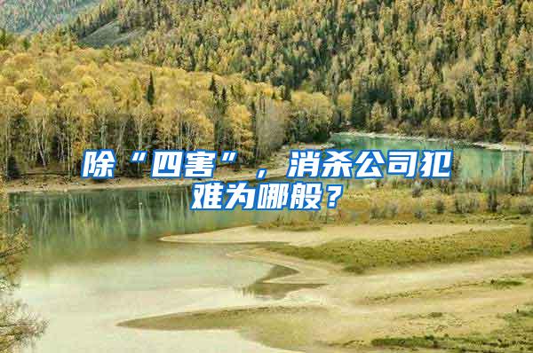 除“四害”，消殺公司犯難為哪般？