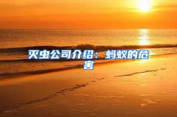 滅蟲(chóng)公司介紹：螞蟻的危害