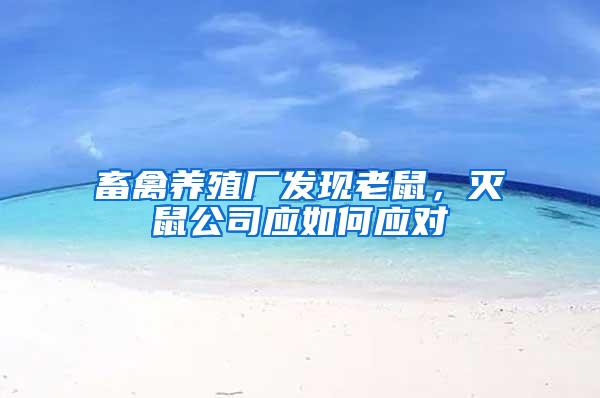 畜禽養(yǎng)殖廠發(fā)現(xiàn)老鼠,滅鼠公司應(yīng)如何應(yīng)對