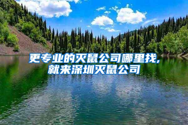 更專業(yè)的滅鼠公司哪里找,就來深圳滅鼠公司