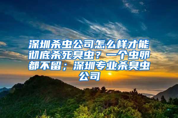 深圳殺蟲公司怎么樣才能徹底殺死臭蟲？一個(gè)蟲卵都不留；深圳專業(yè)殺臭蟲公司