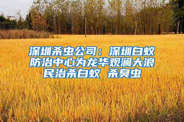 深圳殺蟲(chóng)公司：深圳白蟻防治中心為龍華觀瀾大浪民治殺白蟻 殺臭蟲(chóng)