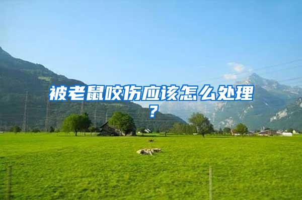 被老鼠咬傷應該怎么處理？