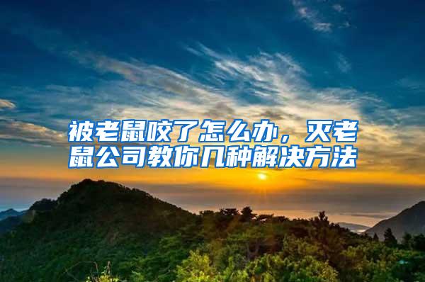 被老鼠咬了怎么辦，滅老鼠公司教你幾種解決方法
