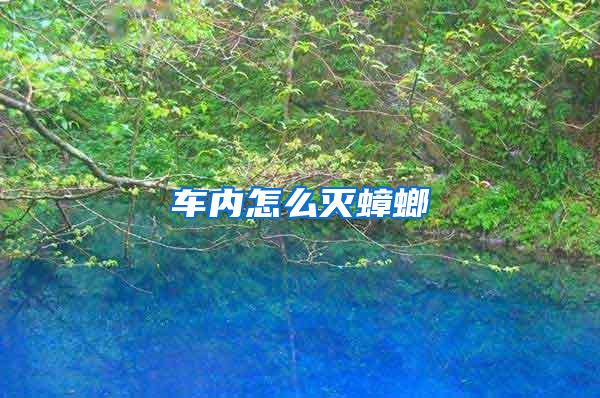 車內(nèi)怎么滅蟑螂