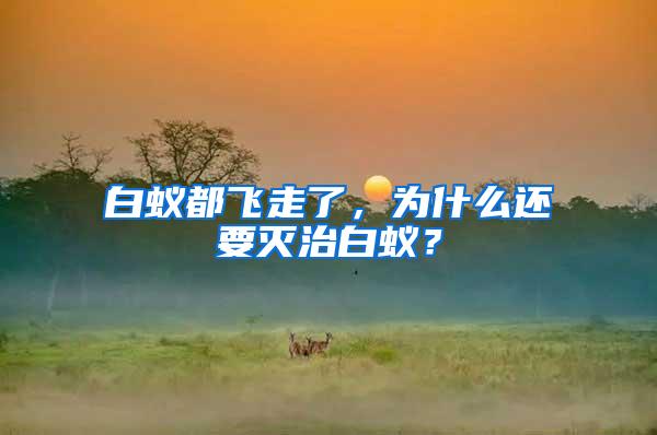 白蟻都飛走了，為什么還要滅治白蟻？