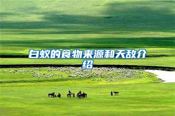 白蟻的食物來(lái)源和天敵介紹