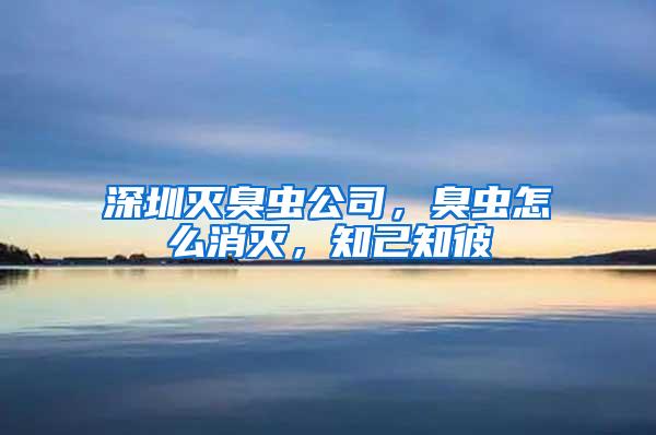 深圳滅臭蟲公司，臭蟲怎么消滅，知己知彼