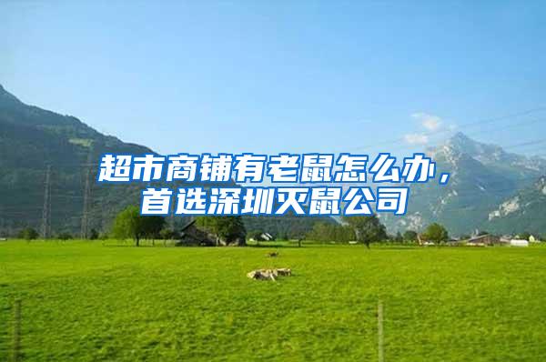 超市商鋪有老鼠怎么辦，首選深圳滅鼠公司