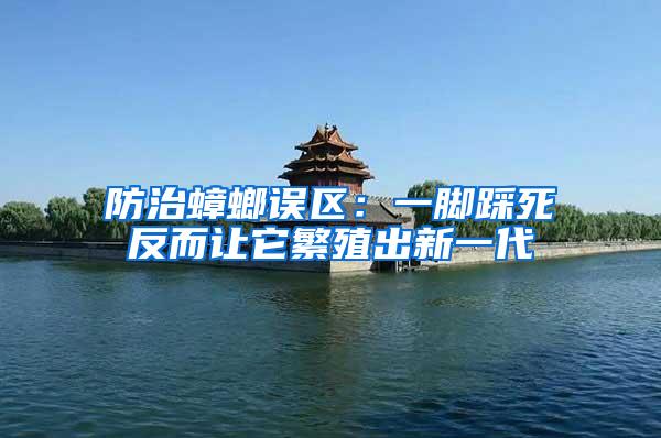 防治蟑螂誤區(qū):一腳踩死反而讓它繁殖出新一代