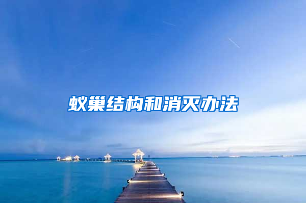 蟻巢結(jié)構(gòu)和消滅辦法